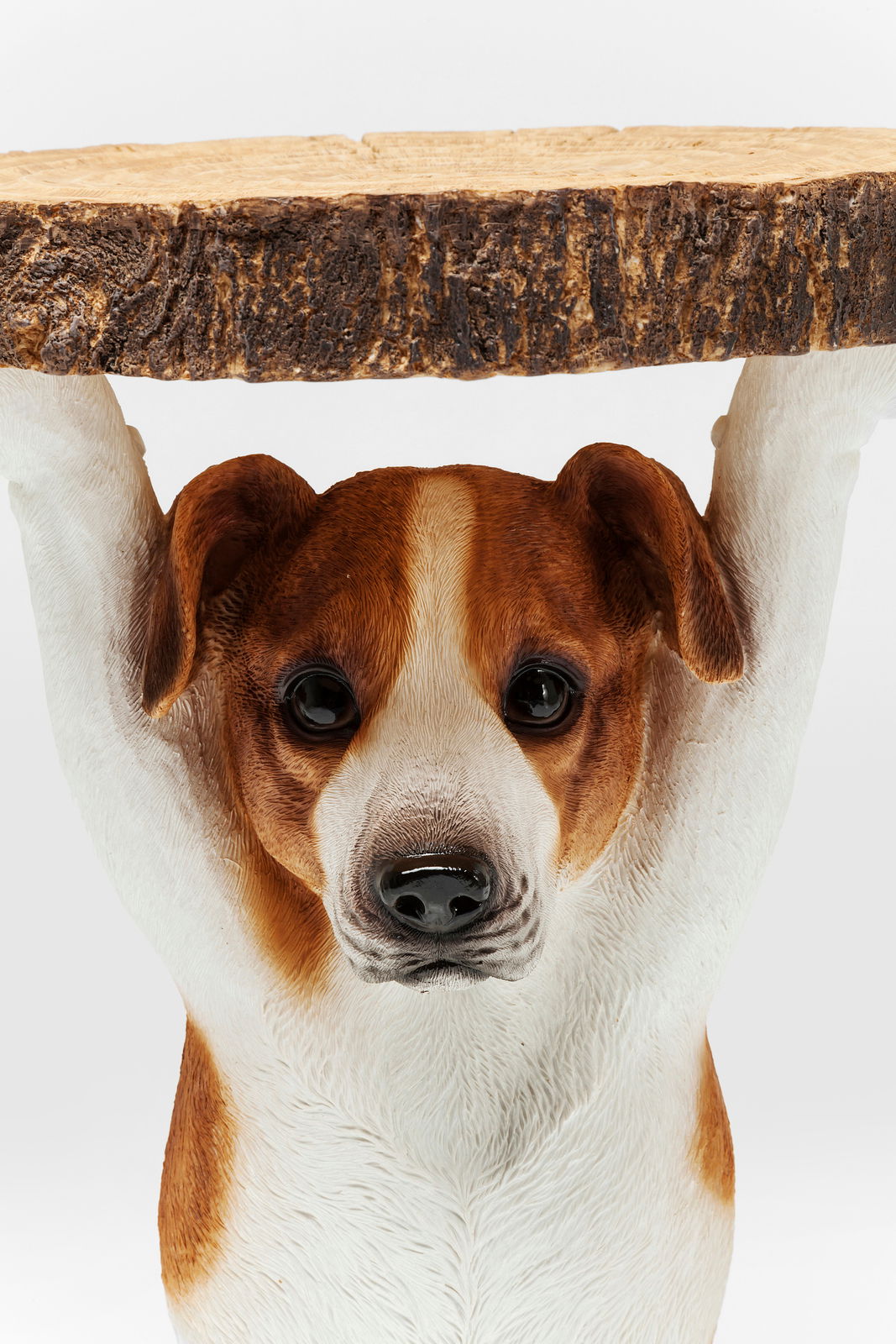 Beistelltisch in Form eines Hundes, der eine Tischplatte aus Holz über dem Kopf hält, Frontalansicht
