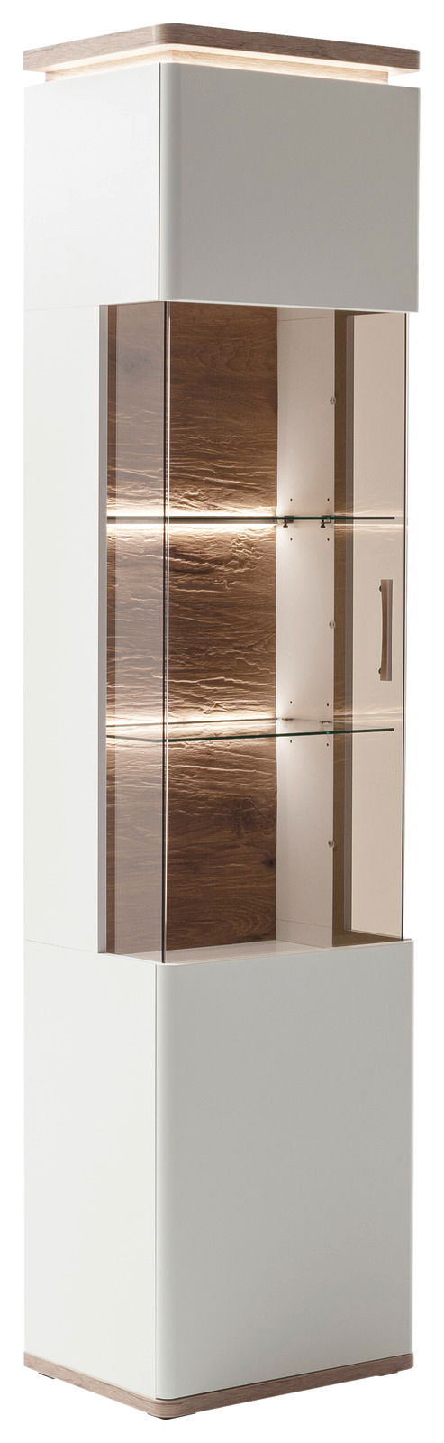 Moderne Vitrine mit Glasfront und Holzrückwand, seitliche Perspektive