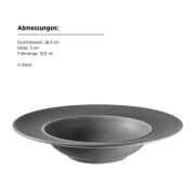 Graue, flache Pastaschale/Suppenteller mit breitem Rand, 26,5 cm Durchmesser, 5 cm Höhe und 500 ml Füllmenge, in seitlicher Ansicht vor weißem Hintergrund.