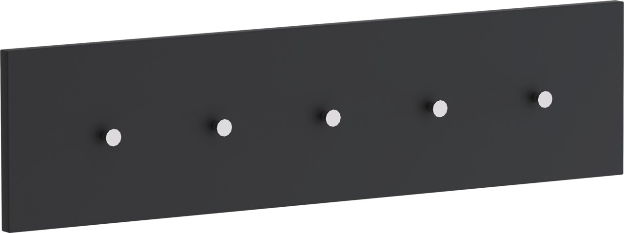 Schwarze Hakenleiste mit fünf silbernen Haken, seitliche Perspektive