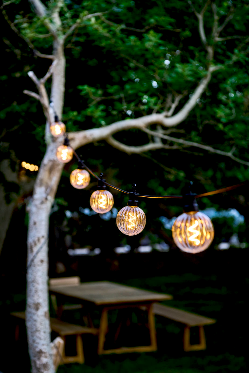 Lichterkette mit klaren, runden LED-Lampen, aufgehängt an einem Baum in einem Garten, aus seitlicher Perspektive fotografiert.