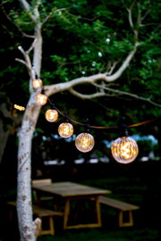 Lichterkette mit klaren, runden LED-Lampen, aufgehängt an einem Baum in einem Garten, aus seitlicher Perspektive fotografiert.