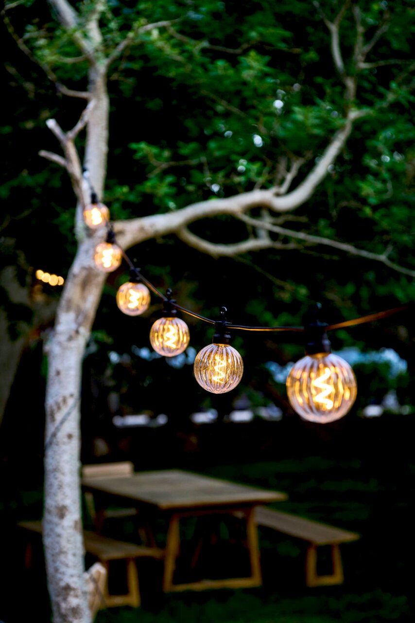 Lichtslinger met heldere, ronde ledlampjes, opgehangen aan een boom in een tuin, gefotografeerd vanuit een zijdelingse hoek.