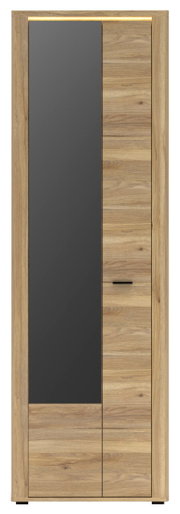Vooraanzicht van een moderne garderobekast met houtlook en een donkere glazen deur.