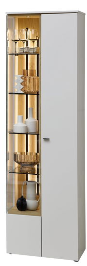 Moderne Vitrine mit Glastüren, beleuchtetem Innenraum und dekorativen Objekten, seitliche Perspektive