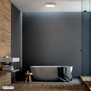 Moderne badkamer met ronde plafondlamp, vrijstaand wit bad en glazen douchewand, frontaal aanzicht op ooghoogte.