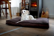 Een donkerbruin, rechthoekig hondenkussen in de woonkamer, met daarop een kleine witte hond die voor een houtkachel ligt; perspectief: vooraanzicht vanaf de grond, licht van links.