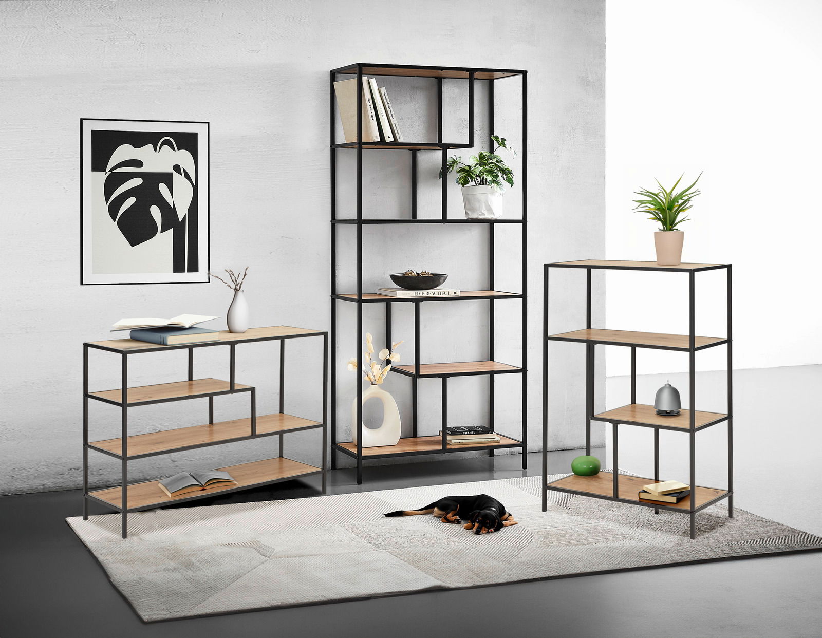 Drei moderne Regale in verschiedenen Größen mit schwarzem Metallrahmen und Holzböden, fotografiert in einem stilvollen Wohnzimmer mit Dekorationen und einem schlafenden Hund auf einem Teppich.