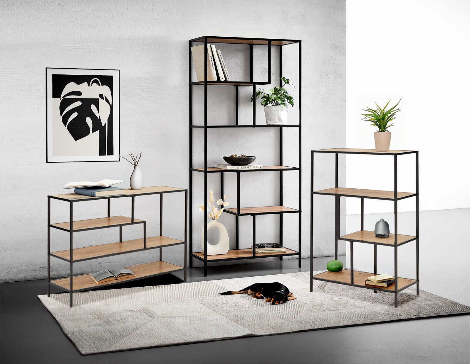 Drei moderne Regale in verschiedenen Größen mit schwarzem Metallrahmen und Holzböden, fotografiert in einem stilvollen Wohnzimmer mit Dekorationen und einem schlafenden Hund auf einem Teppich.