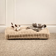 Hundebett mit weicher Decke und Spielzeug aus der Seitenperspektive