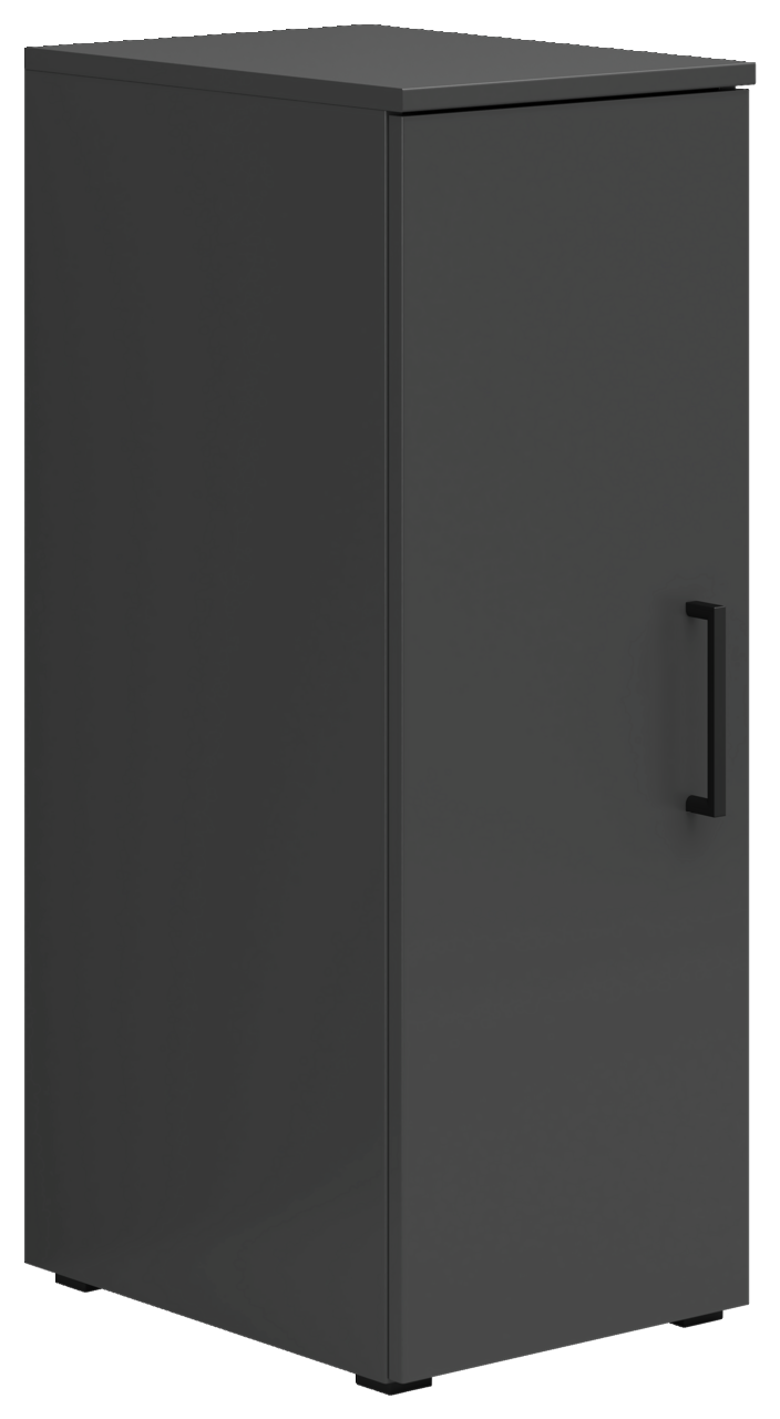 Carryhome Mehrzweckschrank MULTISTAURAUM Schwarzer Mehrzweckschrank mit einer Tür und Griff, seitliche Perspektive