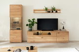 Moderne Wandkombination aus Holz mit TV-Schrank, Vitrine und Regal, dekoriert mit Pflanzen und Kerzen, aus frontaler Perspektive.