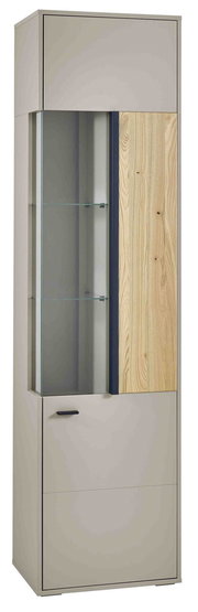 Moderne Vitrine mit Glasfront und Holzelementen, seitliche Perspektive