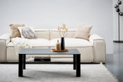 Moderne salontafel XORA ROMINA in zwart, gezien van voren voor een crèmekleurige bank met decoratieve kussens en vazen op de tafel.