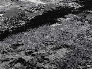 Nahaufnahme eines Designer-Teppichs mit abstraktem, schwarz-weißem Muster und flauschiger Textur.