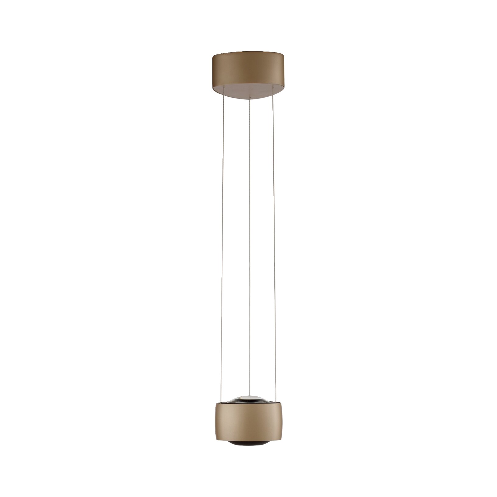 Moderne Pendelleuchte in Gold/Champagner mit zylindrischer Deckenhalterung, drei Abhängeseilen und zylindrischem Leuchtenkörper mit transparenter Kuppel, frontal in Zentralperspektive freigestellt auf weißem Hintergrund