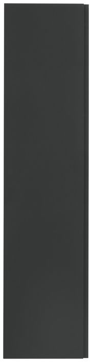 Schwarze Schranktür in Frontalansicht