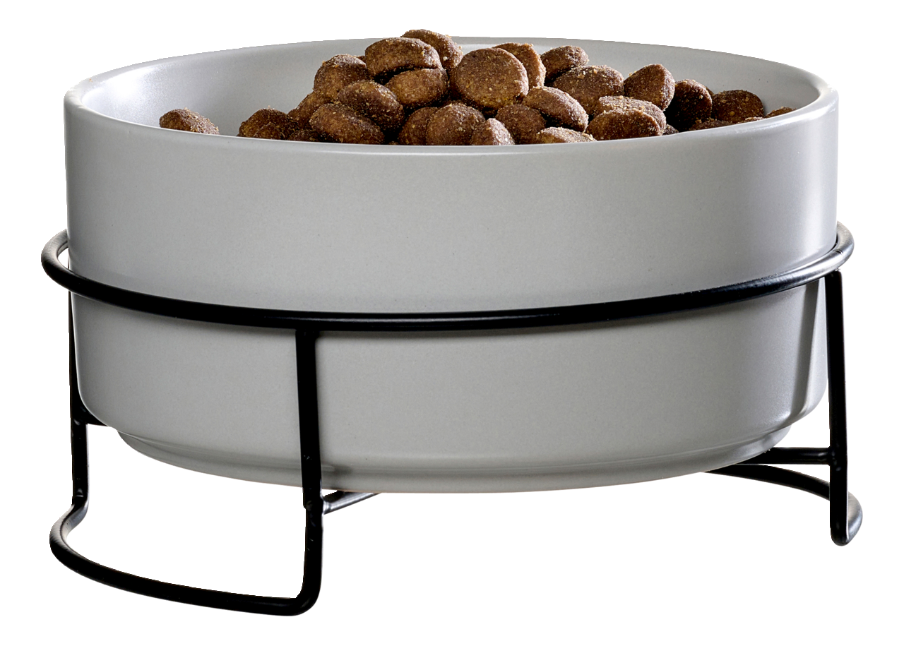 Hochwertiger Napf in einem schwarzen Metallständer, gefüllt mit Trockenfutter, seitliche Perspektive