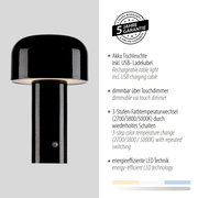 Schwarze Akku-Tischleuchte AGNES mit Touchdimmer, USB-Ladekabel und 3-Stufen-Farbtemperaturwechsel, seitliche Perspektive.