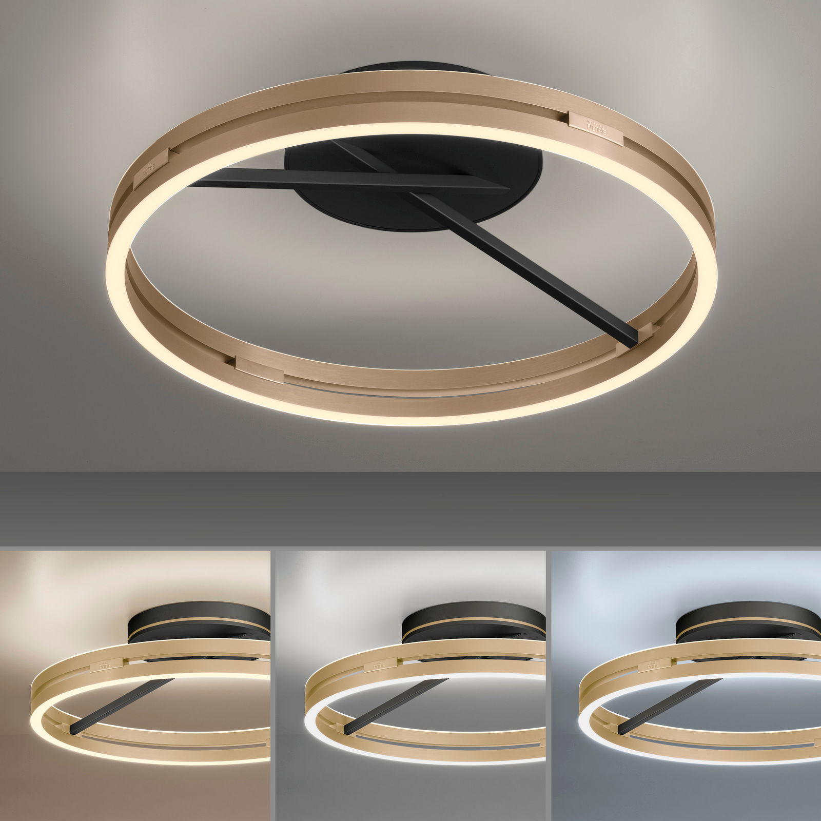 Moderne Deckenleuchte PURE Loop in goldener Ringform mit schwarzem Sockel, von unten betrachtet.