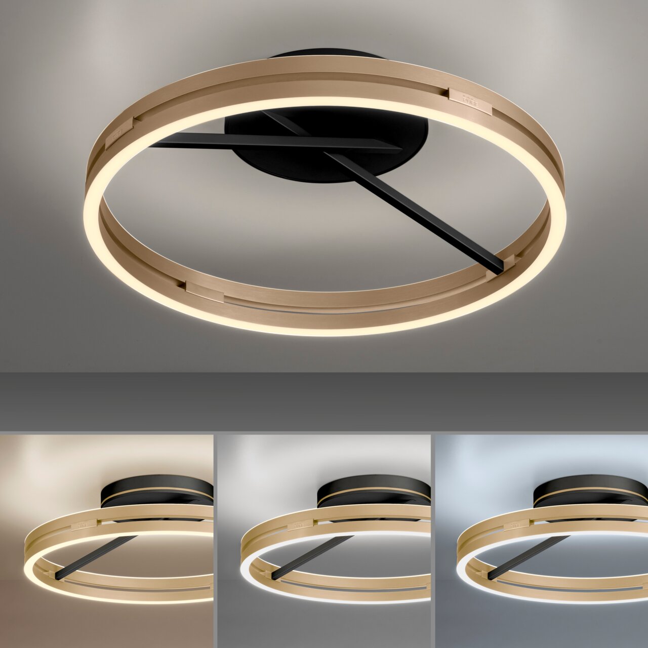 Moderne Deckenleuchte PURE Loop in goldener Ringform mit schwarzem Sockel, von unten betrachtet.