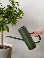 Eine dunkelgrüne Bloom Blumengießkanne mit einem Fassungsvermögen von 2 Litern wird verwendet, um eine Pflanze in einem weißen Topf zu gießen. Die Perspektive zeigt die Gießkanne von der Seite, während Wasser aus dem langen Ausguss fließt.