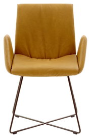 Moderner Sessel in senfgelber Farbe mit Metallgestell, Frontalansicht