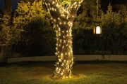 Outdoor-Lichterkette Solar, die einen Baumstamm in einem Garten bei Nacht umwickelt, mit einer hängenden Laterne im Hintergrund. Perspektive: seitlich.