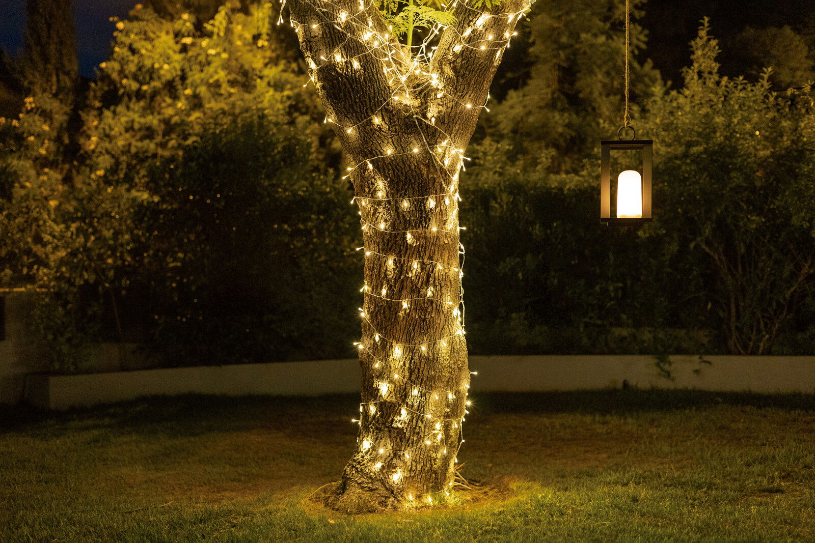 Outdoor-Lichterkette Solar, die einen Baumstamm in einem Garten bei Nacht umwickelt, mit einer hängenden Laterne im Hintergrund. Perspektive: seitlich.