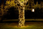 Een solar-lichtslinger voor buiten die ’s nachts om een boomstam in een tuin is gewikkeld, met op de achtergrond een hangende lantaarn. Perspectief: zijaanzicht.