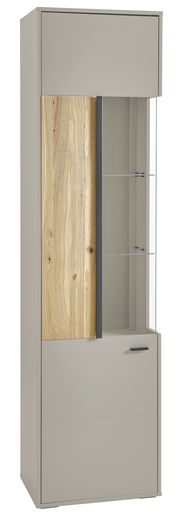 Vitrine mit Holz- und Glaselementen, Frontansicht