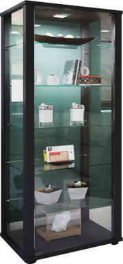 Schwarze Glasvitrine mit mehreren Glasböden und integrierter LED-Beleuchtung, bestückt mit Dekoobjekten und Büchern; Ansicht schräg von vorn links.