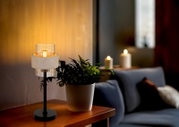 Moderne Tischlampe mit schwarzem Metallfuß, zylindrischem Glas-Schirm und hellem Steinring, warm leuchtend auf einem Holztisch neben Topfpflanze im Wohnzimmer, perspektive: leicht seitliche Frontansicht