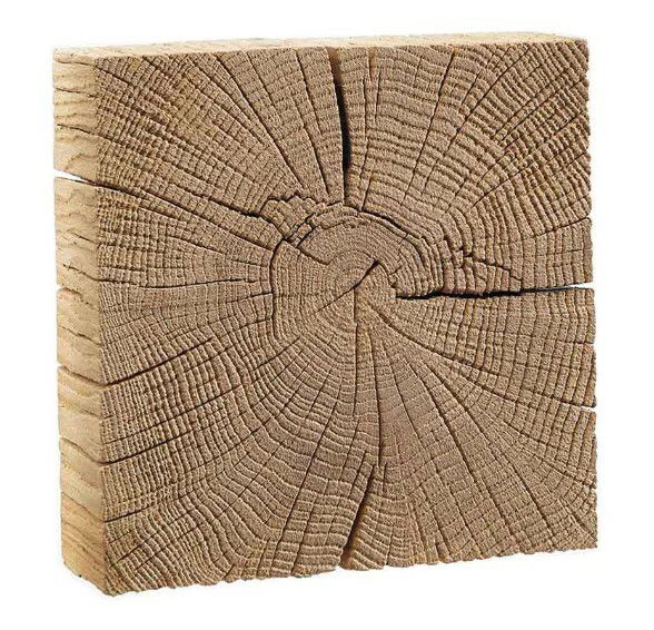 Holzblock mit sichtbarer Jahresringstruktur, perspektivisch von vorne und leicht seitlich aufgenommen