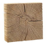 Holzblock mit sichtbarer Jahresringstruktur, perspektivisch von vorne und leicht seitlich aufgenommen