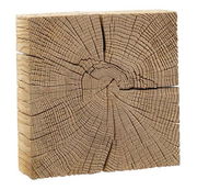 Holzblock mit sichtbarer Jahresringstruktur, perspektivisch von vorne und leicht seitlich aufgenommen