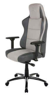 Grauer und schwarzer Gaming-Stuhl mit verstellbaren Armlehnen, seitliche Perspektive