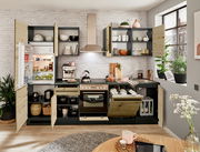 Moderne Küchenzeile mit offenen Schränken, Kühlschrank, Herd und Spüle, aus der Perspektive eines hellen, gemütlichen Raumes mit Pflanzen und Dekorationen.