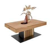 Moderner Couchtisch aus Holz mit dekorativen Vasen und Pflanzen, seitliche Perspektive