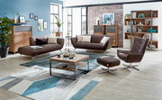 Wohnzimmer mit braunen Ledersofas und Sessel, Couchtisch aus Holz und Metall, Bücherregal und Pflanzen, Perspektive von vorne.