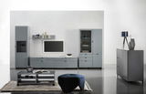 Moderne Wohnzimmermöbel in grauem Design, bestehend aus Vitrine, TV-Lowboard, Wandregal und Couchtisch, frontal betrachtet.