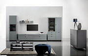 Moderne Wohnzimmermöbel in grauem Design, bestehend aus Vitrine, TV-Lowboard, Wandregal und Couchtisch, frontal betrachtet.
