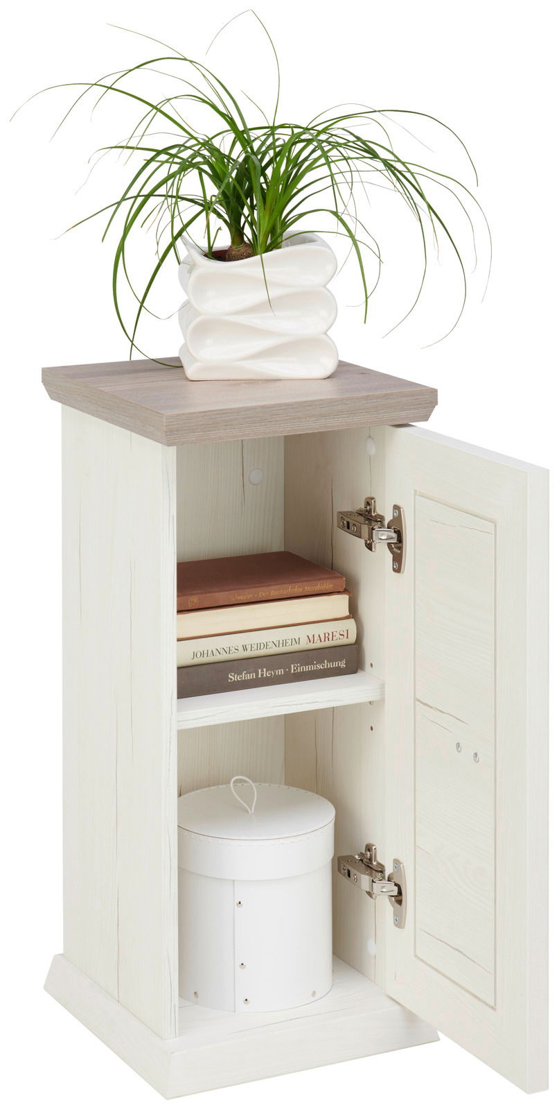 Beistelltisch mit einer Tür, aus hellem Holz, mit einer Pflanze auf der Oberseite und Büchern sowie einer Dose im Inneren. Perspektive: leicht von oben und seitlich.