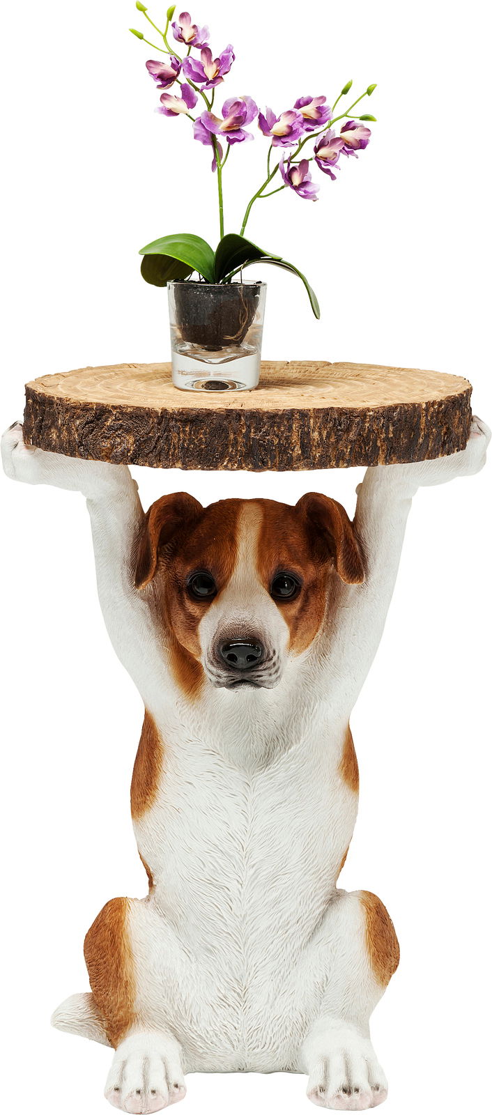 Beistelltisch in Form eines sitzenden Hundes, der eine runde Holzplatte trägt, mit einer lila Orchidee darauf. Frontalansicht.