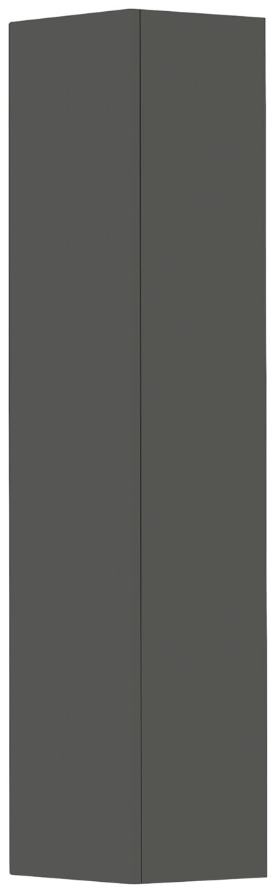 Dunkelgrauer Hänge-Garderobenschrank mit einer Tür, perspektivisch von vorne gezeigt.