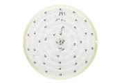 Ronde LED-printplaat met concentrische ringen van SMD-leds en centrale elektronica, bovenaanzicht op witte achtergrond