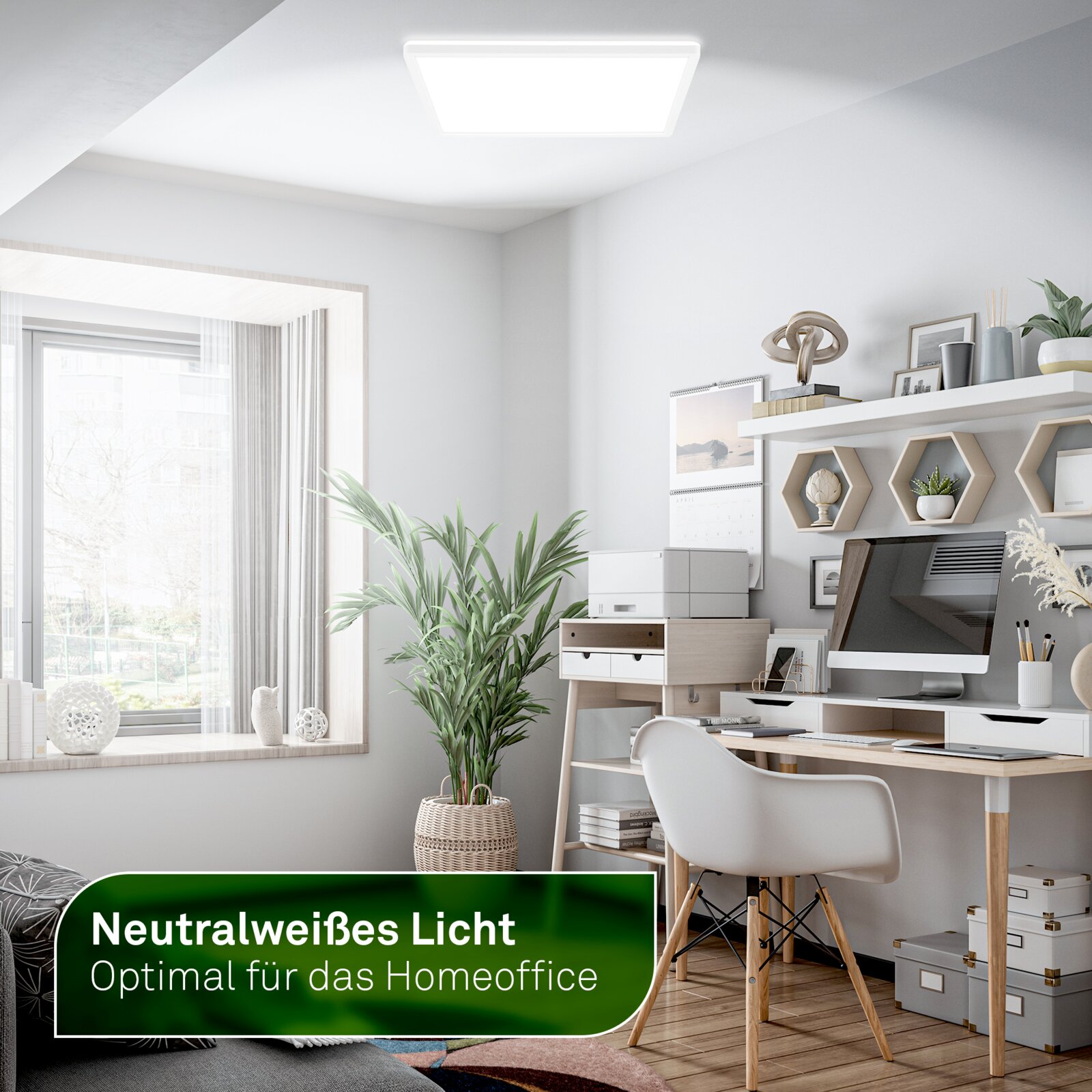 Briloner LED-Paneel TAVA A Quadratische LED-Deckenleuchte mit neutralweißem Licht in einem modernen Homeoffice, aus schräger Raumperspektive von unten betrachtet
