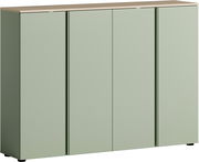 Grüner XXL-Schuhschrank mit vier Türen, frontal betrachtet