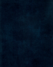 Seitliche Ansicht eines modernen Boxspringbetts mit grauem Stoffbezug und Holzrahmen in einem stilvoll eingerichteten Schlafzimmer mit großen Fenstern.