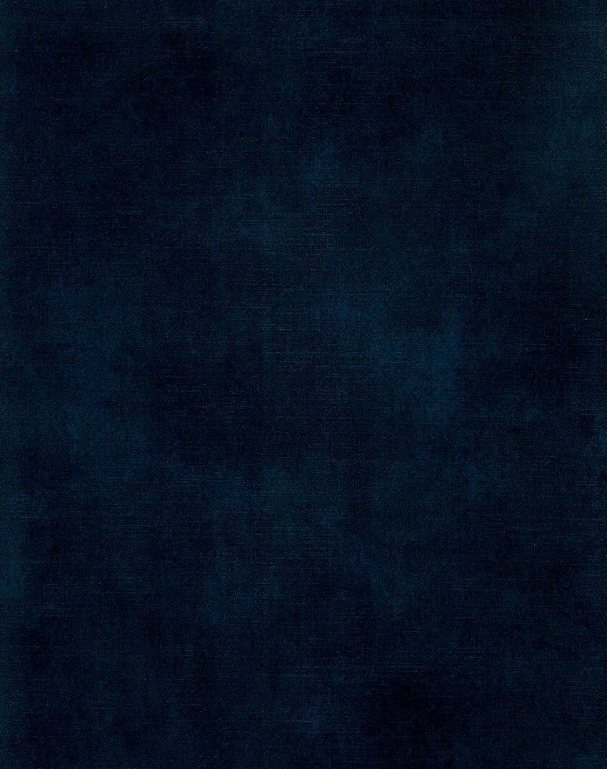 Seitliche Ansicht eines modernen Boxspringbetts mit grauem Stoffbezug und Holzrahmen in einem stilvoll eingerichteten Schlafzimmer mit großen Fenstern.